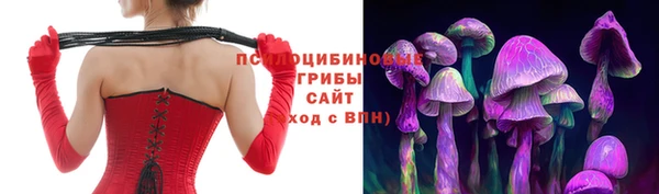 стаф Няндома