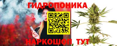 дживик Донской