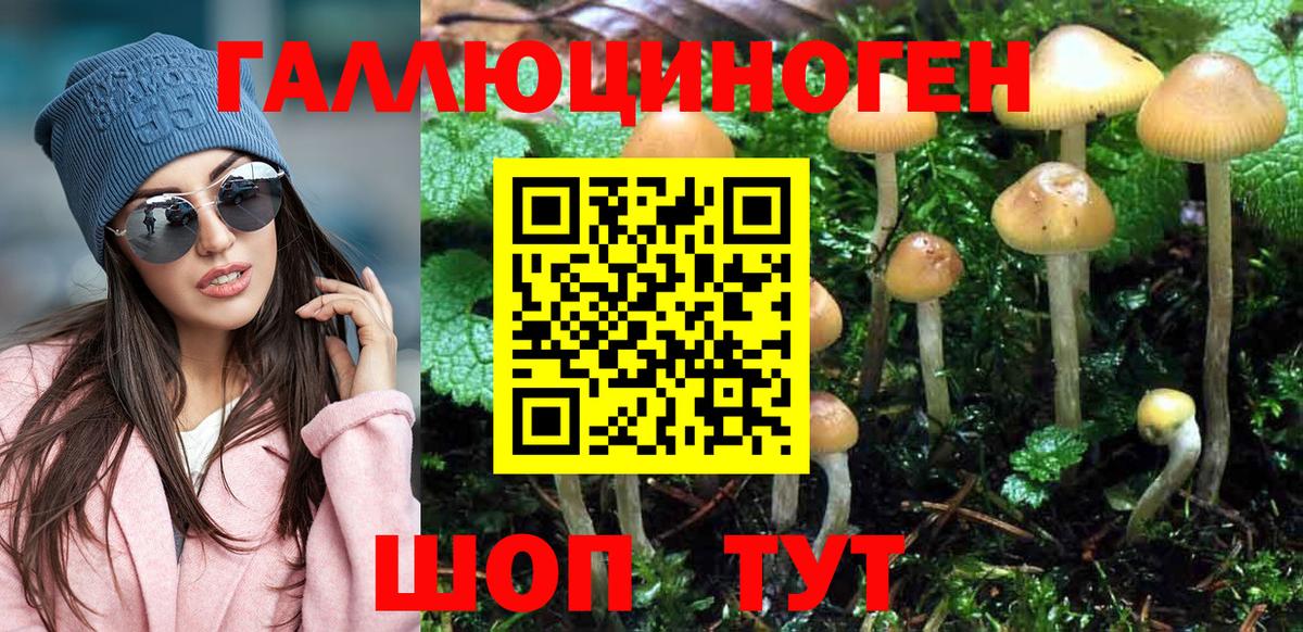 Псилоцибиновые грибы GOLDEN TEACHER  Торжок  Псилоцибиновые грибы MAGIC MUSHROOMS 