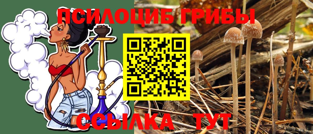 Галлюциногенные грибы мухоморы Торжок