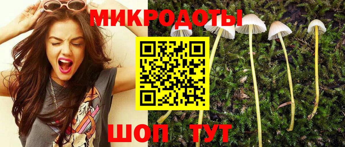Галлюциногенные грибы мицелий Торжок