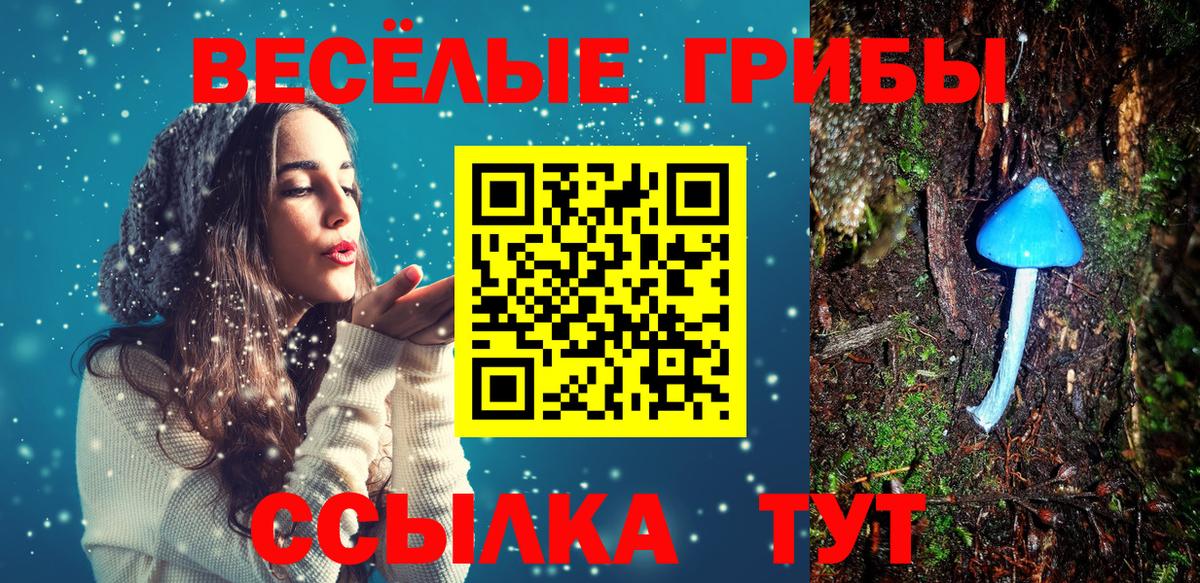 Псилоцибиновые грибы Magic Shrooms  Галлюциногенные грибы GOLDEN TEACHER  Вход с VPN  Торжок 