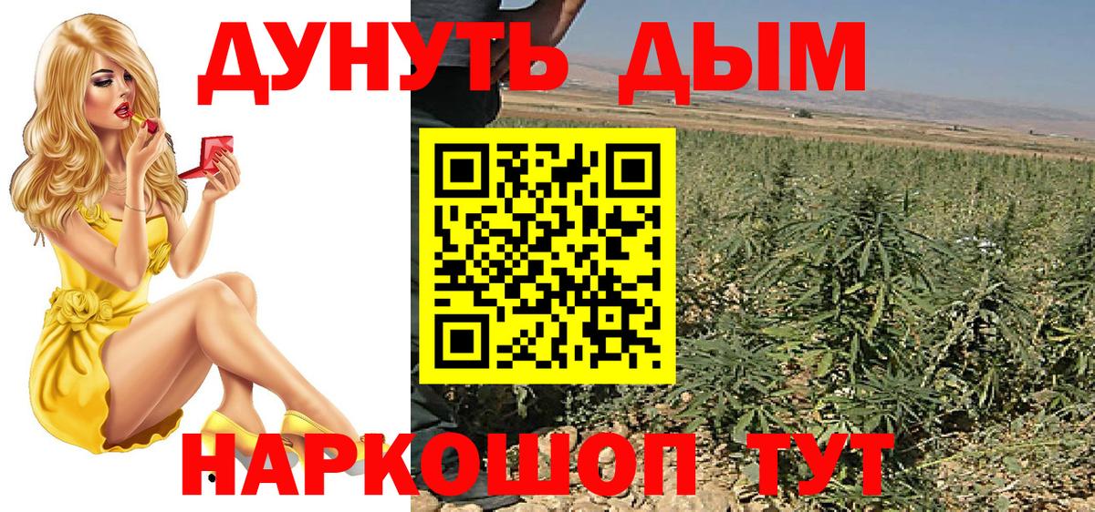 Бошки марихуана сатива  Каннабис SATIVA & INDICA  Вход с VPN  Торжок  Марихуана план 